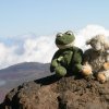 Abstieg vom Teide