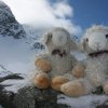 Zusammen mit meinem Freund Sheep beim Surettahorn
