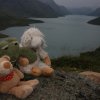 Erste Wanderung mit Kermit nach dem Norseman