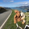 Wir zeigen Schaaf die schönsten Stellen rund um Christchurch